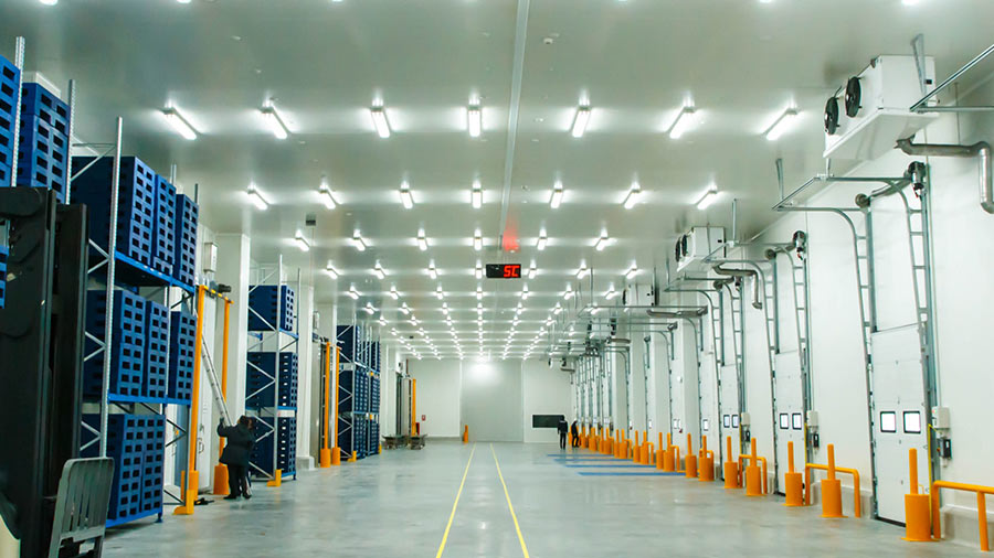 越南的冷藏行业：驾驶员，挑战和市场进入