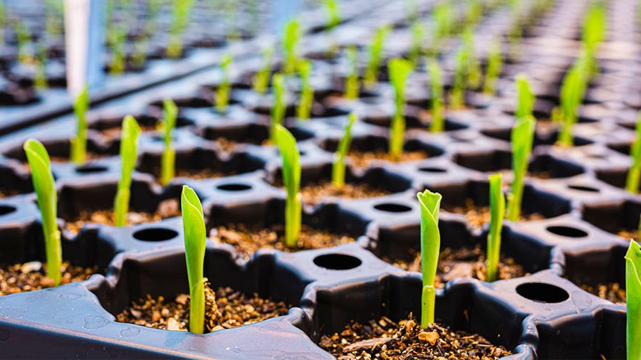 为什么Agtech行业将帮助越南的高科技增长