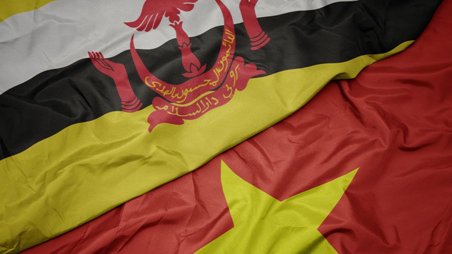 布莱尼越南：贸易概述