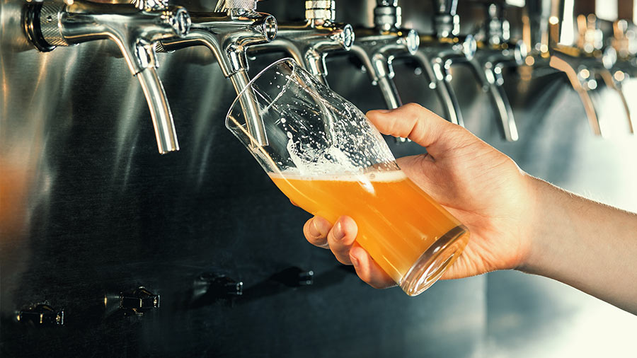 越南的精酿啤酒酿造：市场概述