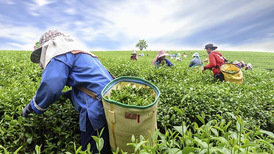 越南的平衡与撤资：机遇和挑战