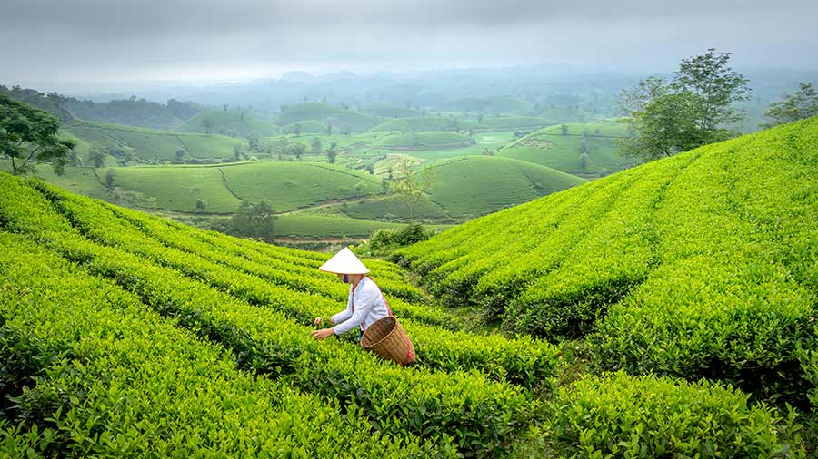 大流行时越南改善的商业环境：PCI 2020