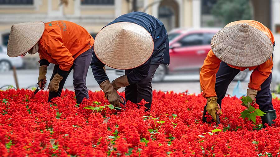 在越南选择正确的采购模式