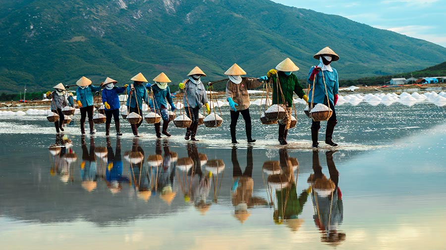 越南的审查年和2020年前景