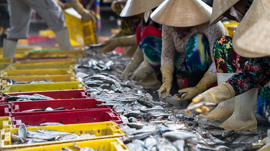 越南改善的商业环境：2018年省级竞争指数