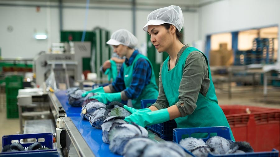 为欧盟公司投资越南的食品加工