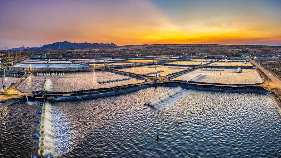 尽管越南遏制了大流行，为什么还需要进行改革