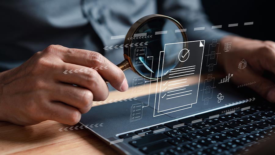 越南2025年企业调查：调查范围和时间表