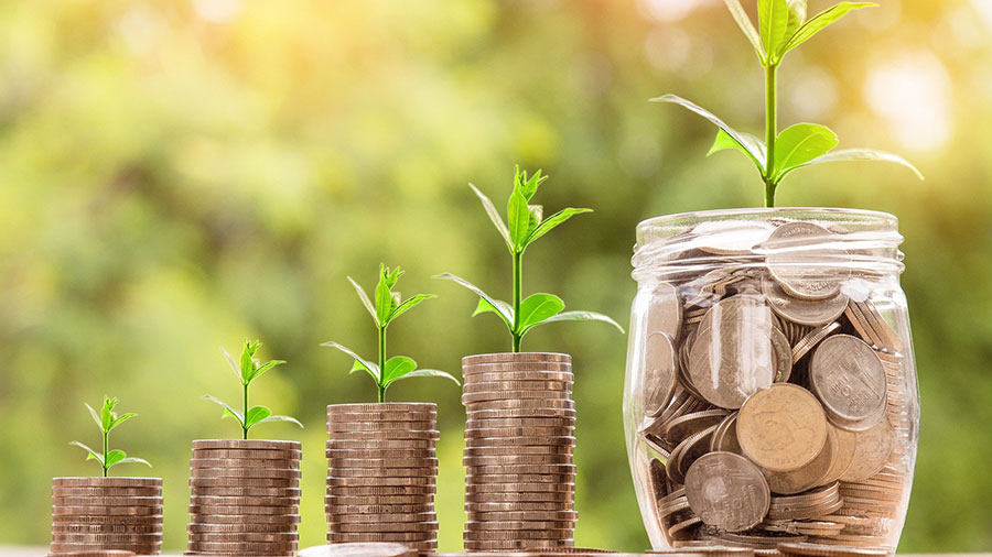 越南发布关于特别投资激励措施的第29号决定