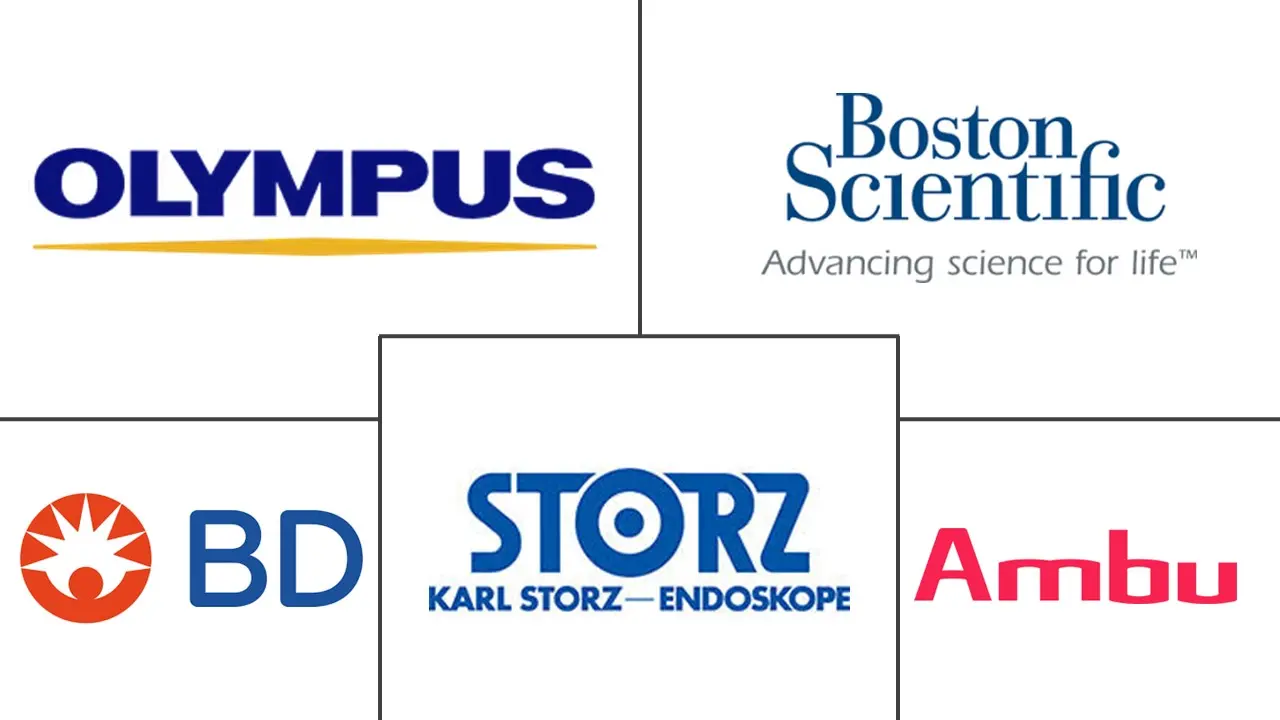 膀胱镜市场规模和份额