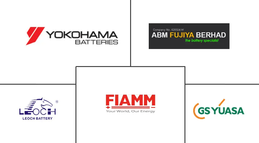 马来西亚电池市场规模