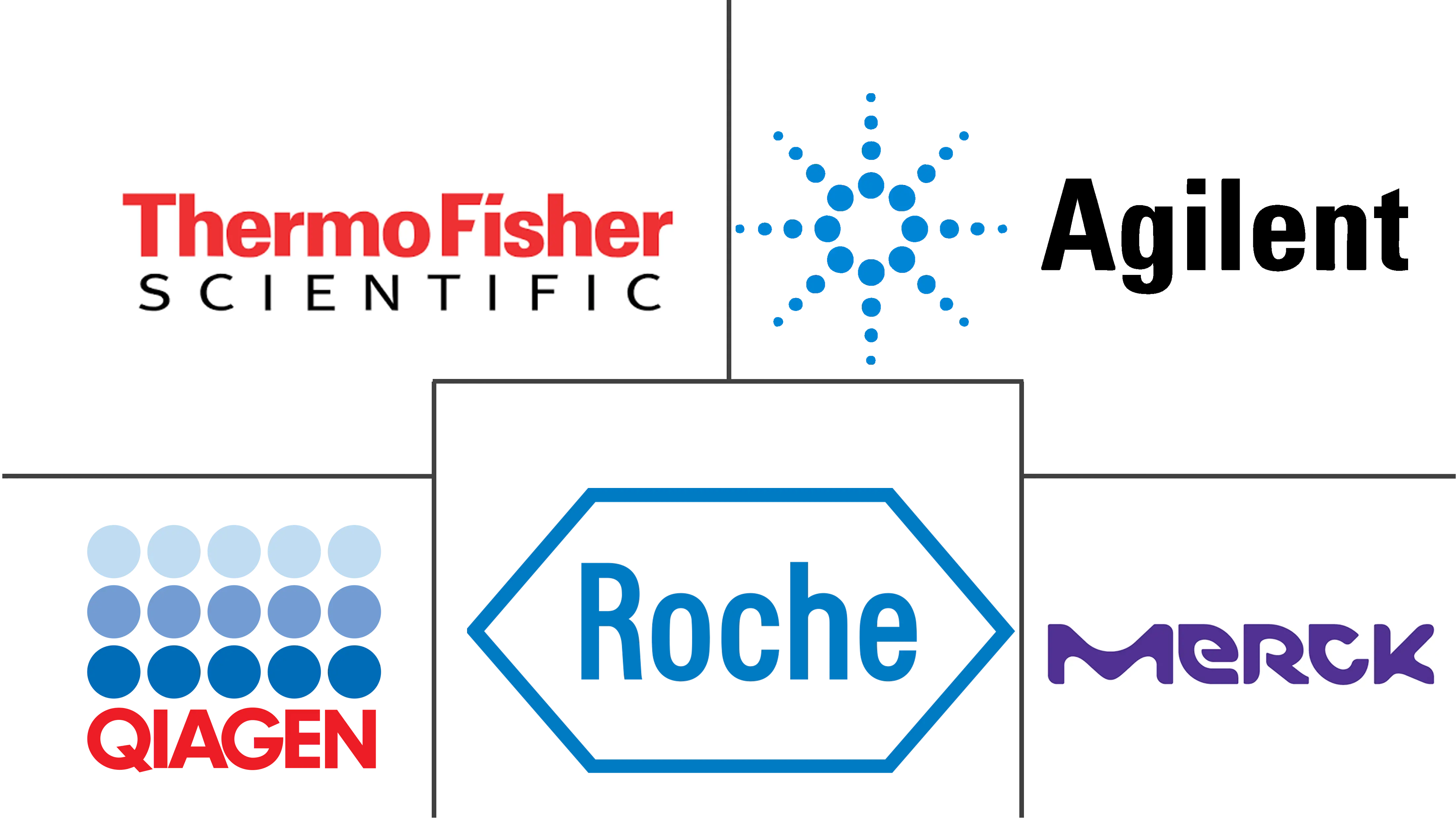分子生物学酶、试剂盒和试剂市场规模和份额