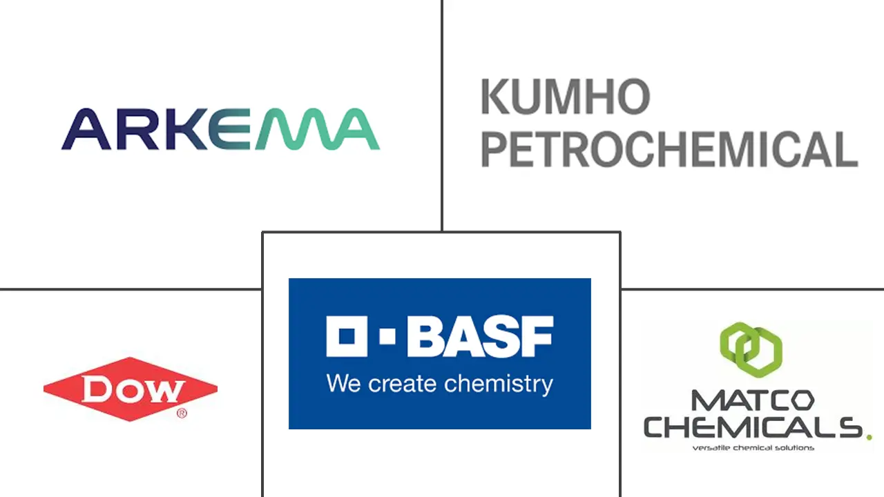 合成乳胶聚合物市场规模和份额