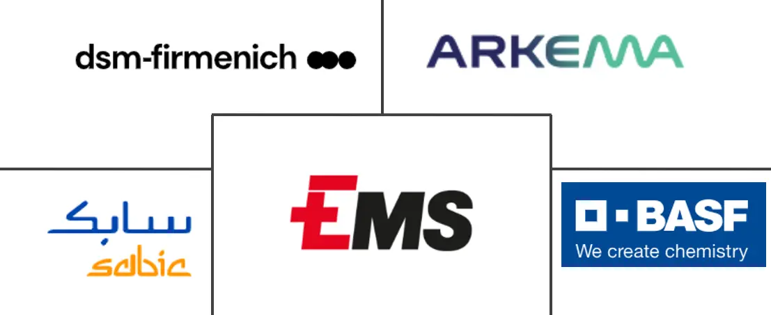 非洲聚酰胺市场规模和份额