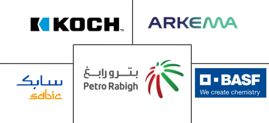 中东聚酰胺市场规模和份额