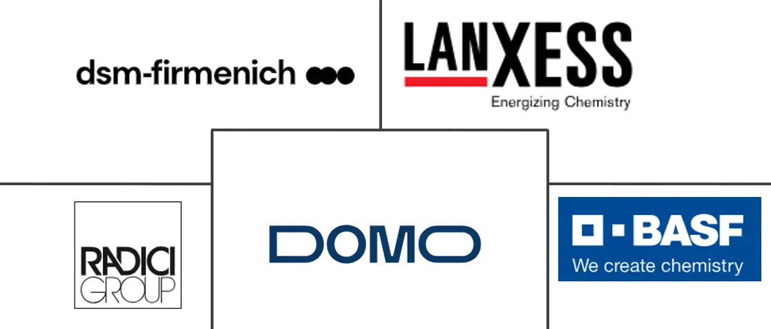 欧洲聚酰胺市场规模和份额