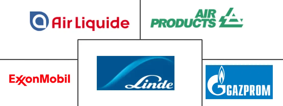 氦气市场规模和份额