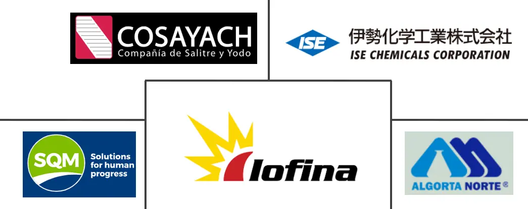 碘市场规模和份额