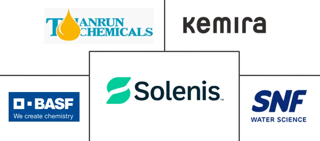 聚丙烯酰胺市场规模及份额