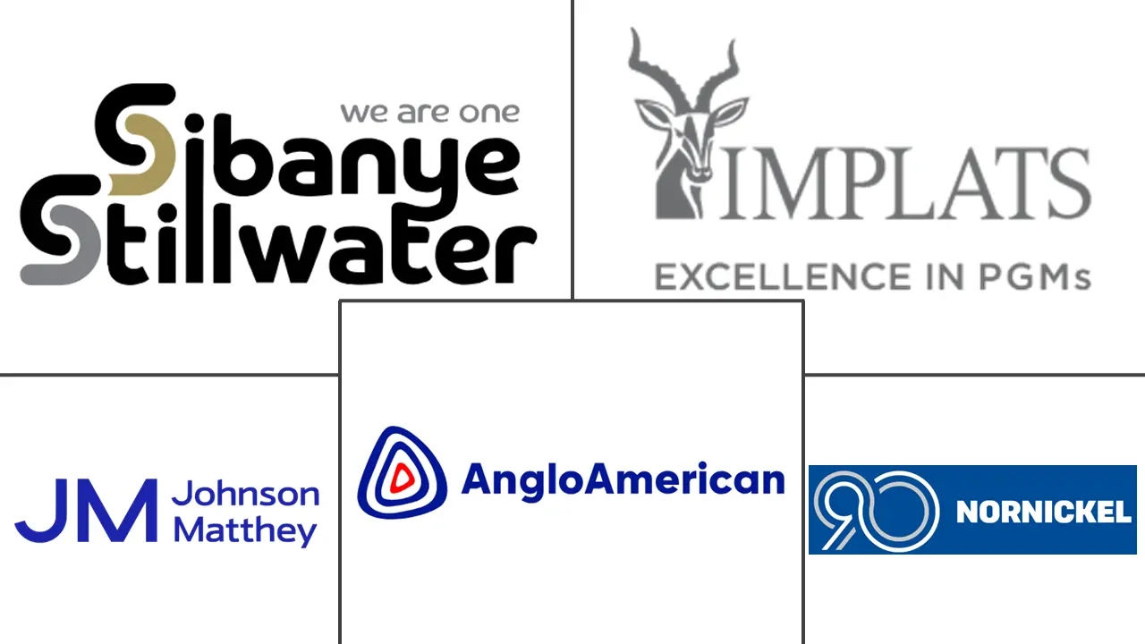 铂族金属市场规模和份额