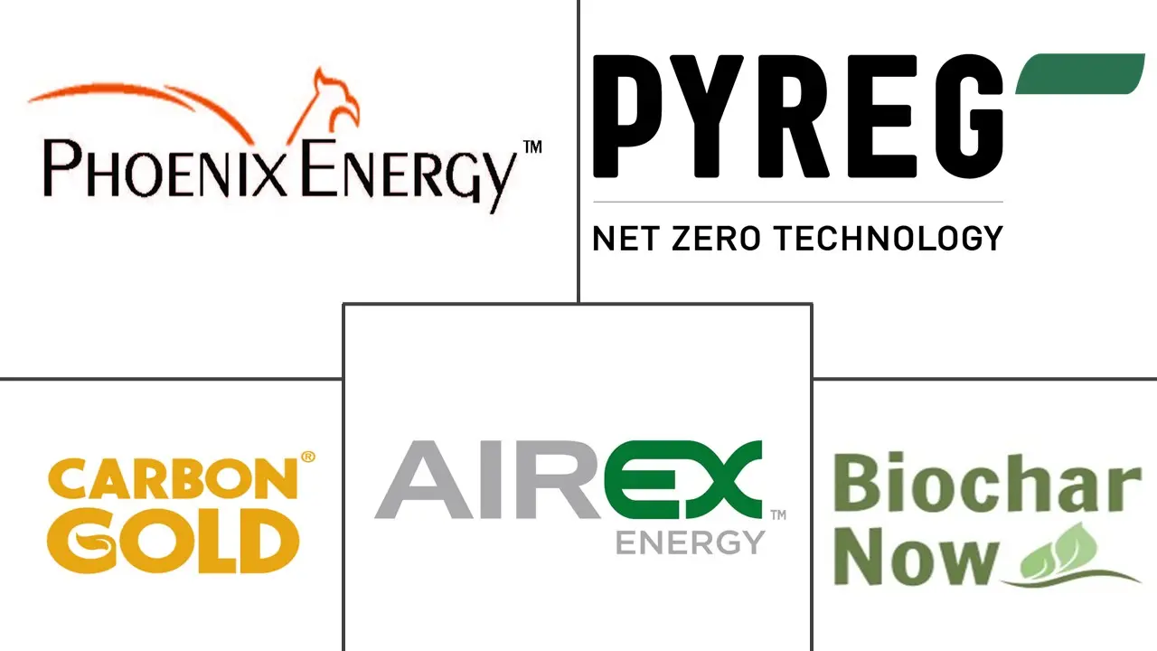 生物炭市场规模和份额