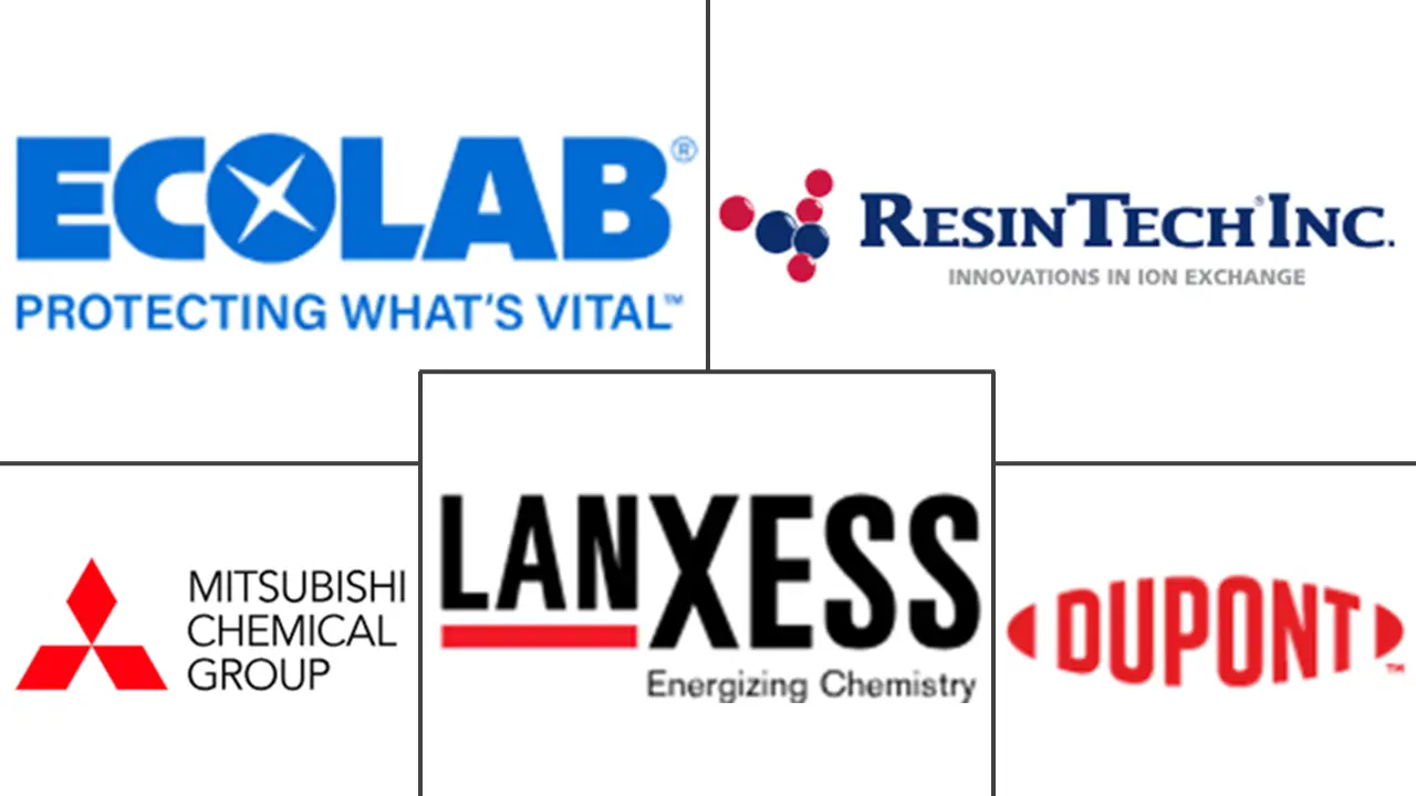 离子交换树脂市场规模及份额