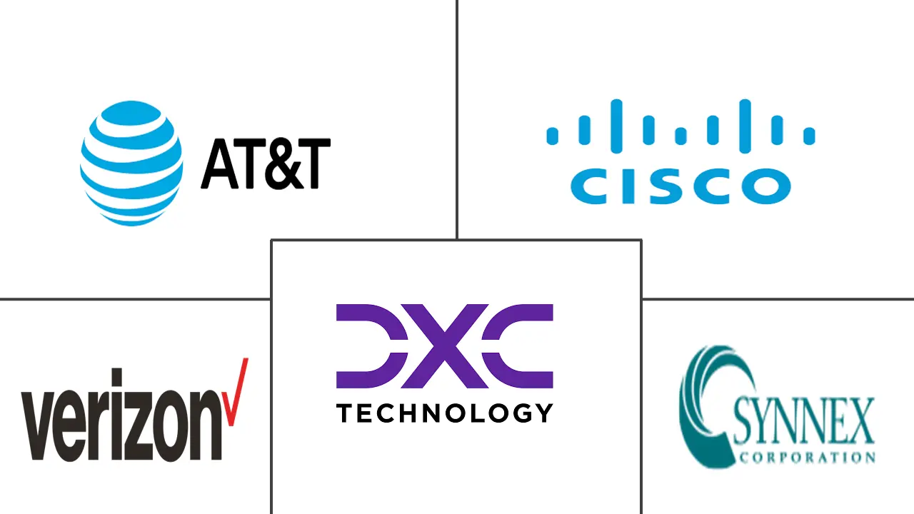 网络即服务市场规模和份额