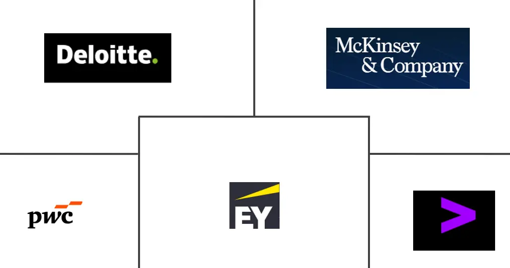 南美洲管理咨询服务市场规模和份额