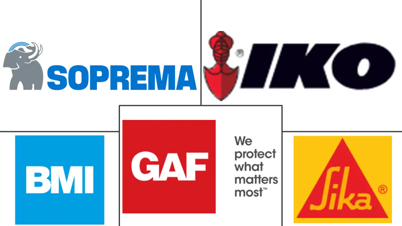 沥青膜市场规模和份额