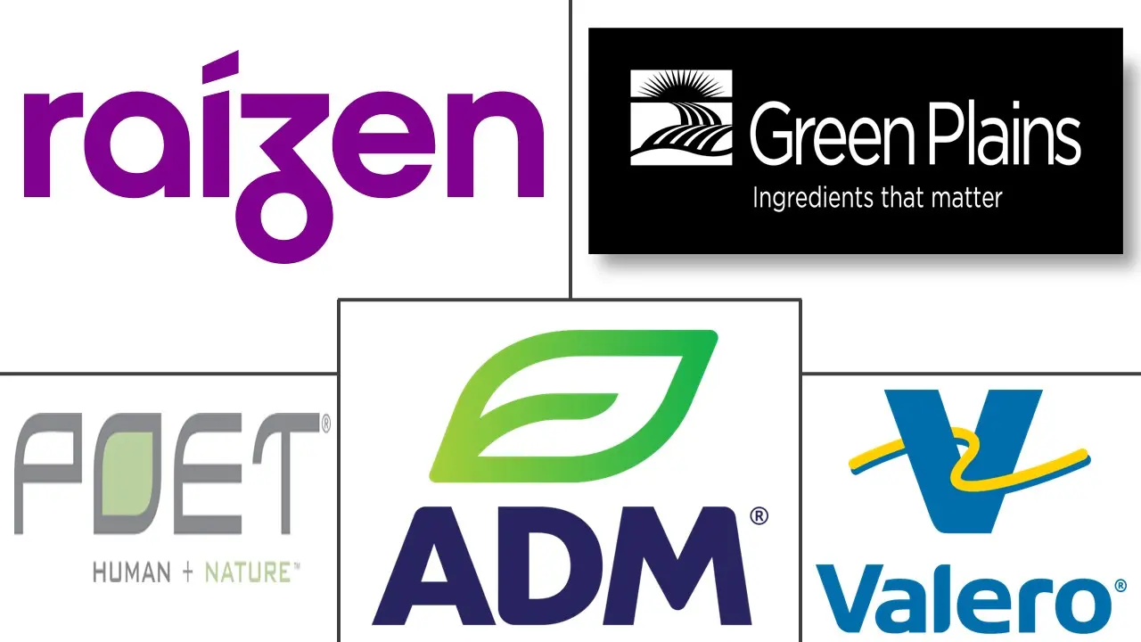 乙醇（乙醇）市场规模和份额