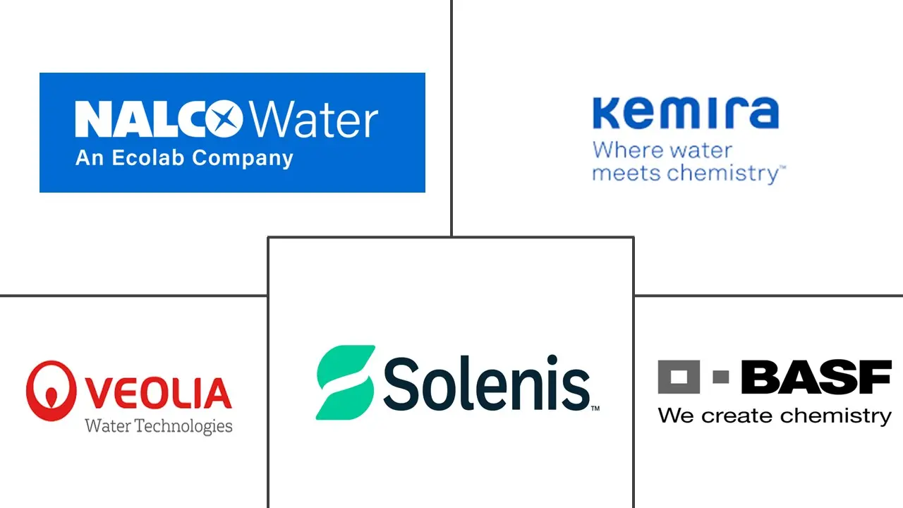 市政水处理化学品市场规模和份额