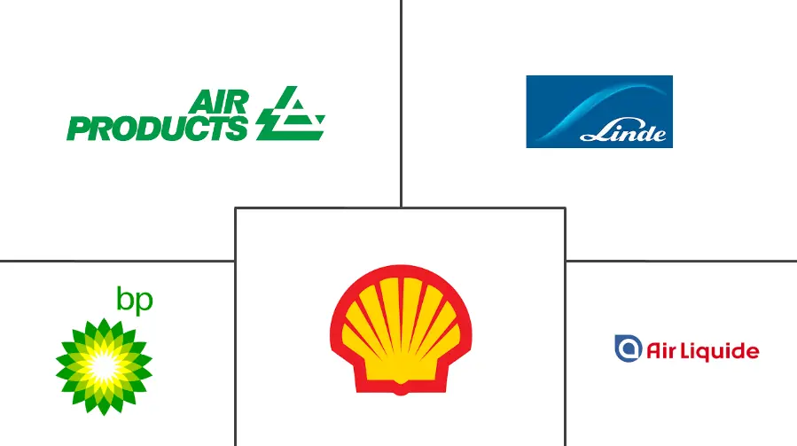 MEA 合成气市场规模