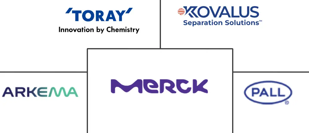 PVDF膜市场规模及份额