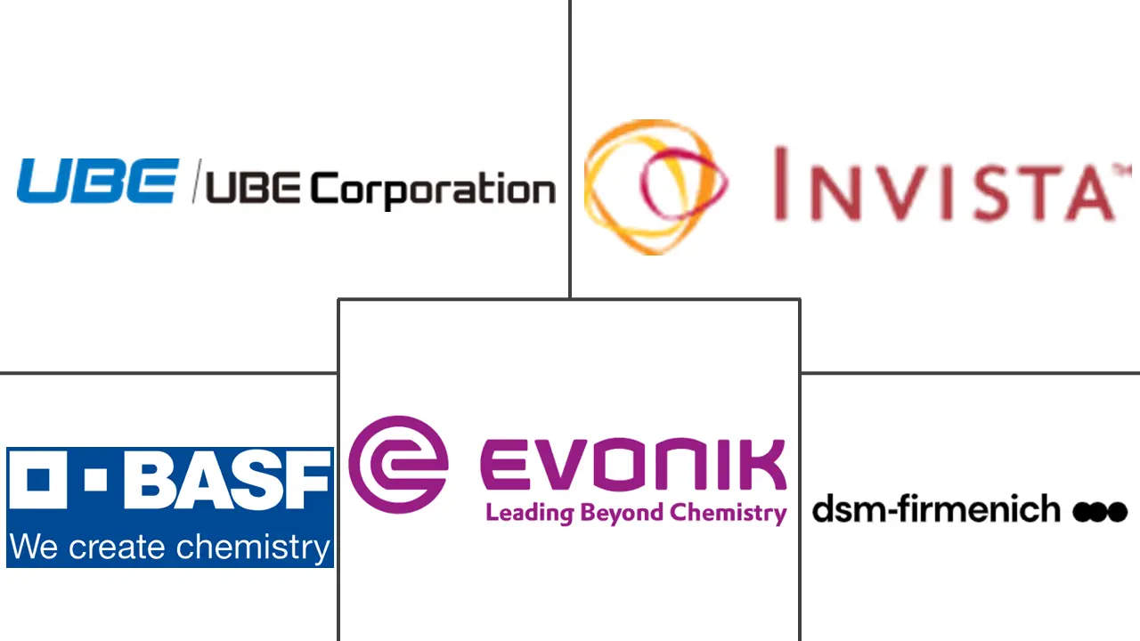 十二烷二酸 (DDDA) 市场规模和份额