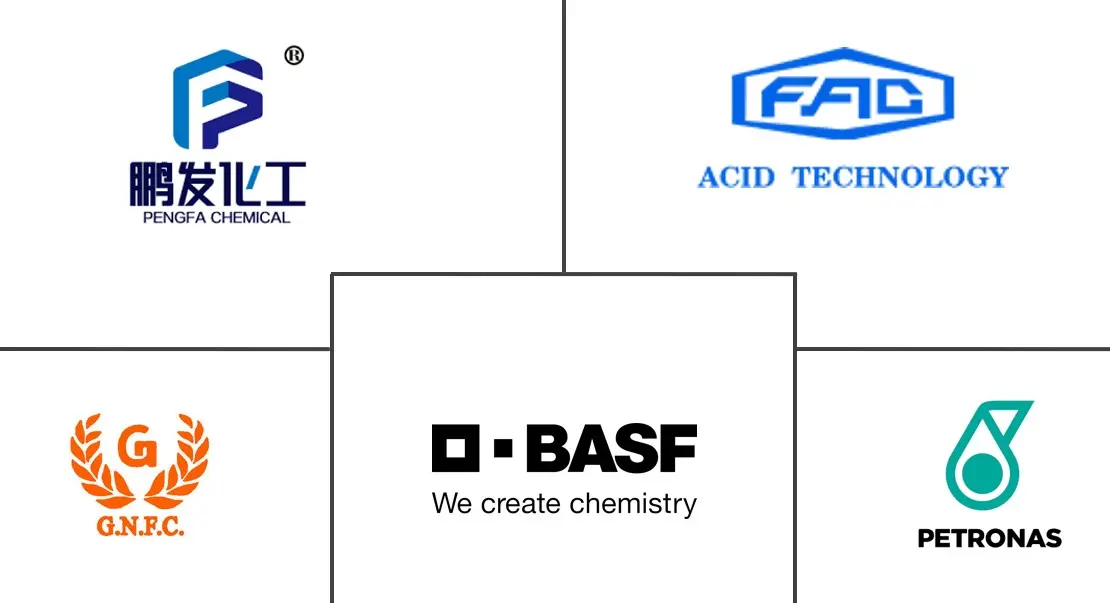 沙特阿拉伯甲酸市场规模