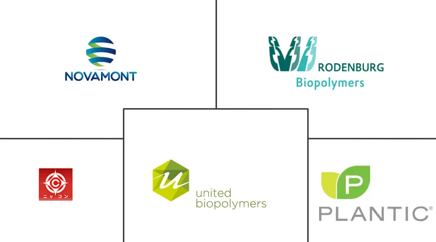 淀粉聚合物市场规模