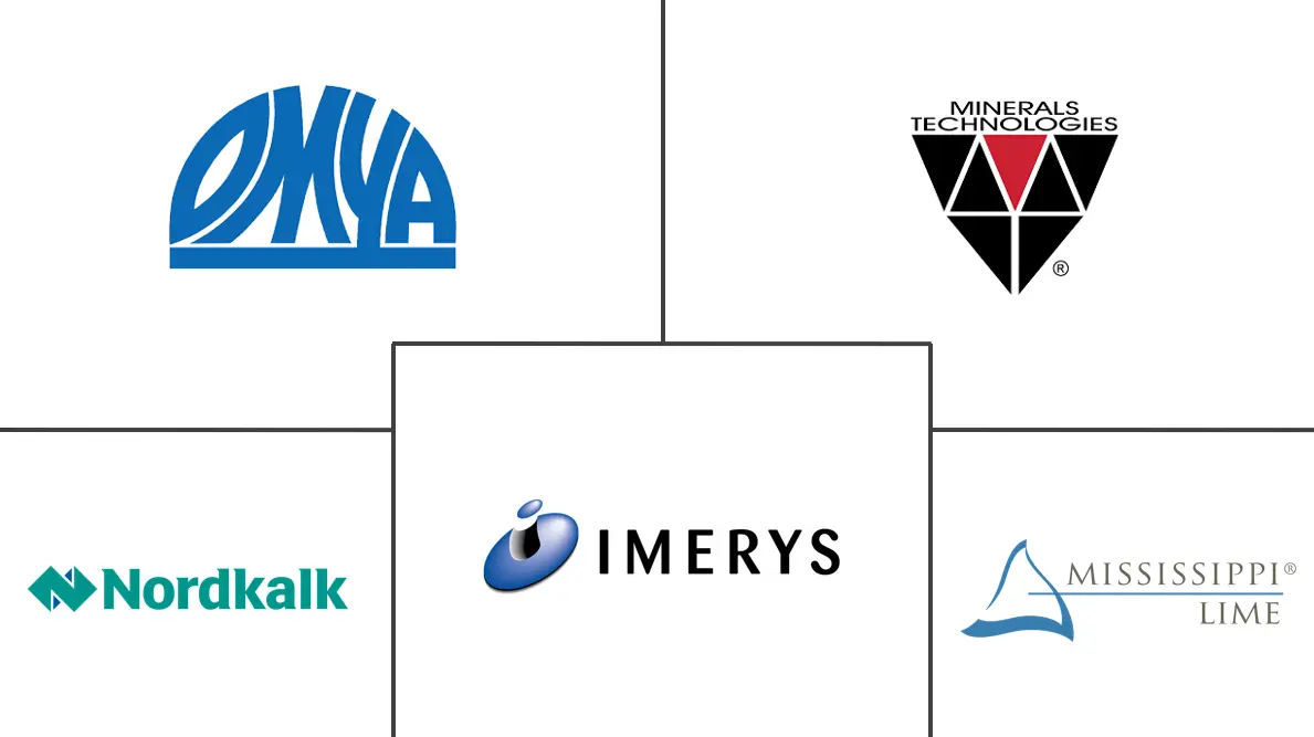 沉淀碳酸钙市场规模及份额