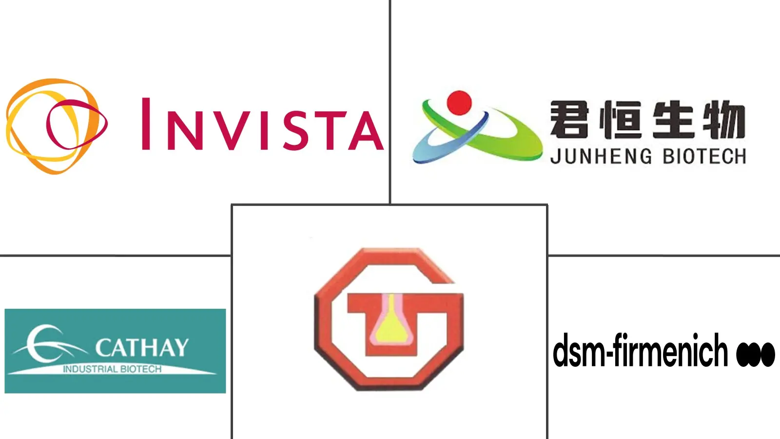 长链二元酸市场规模及份额