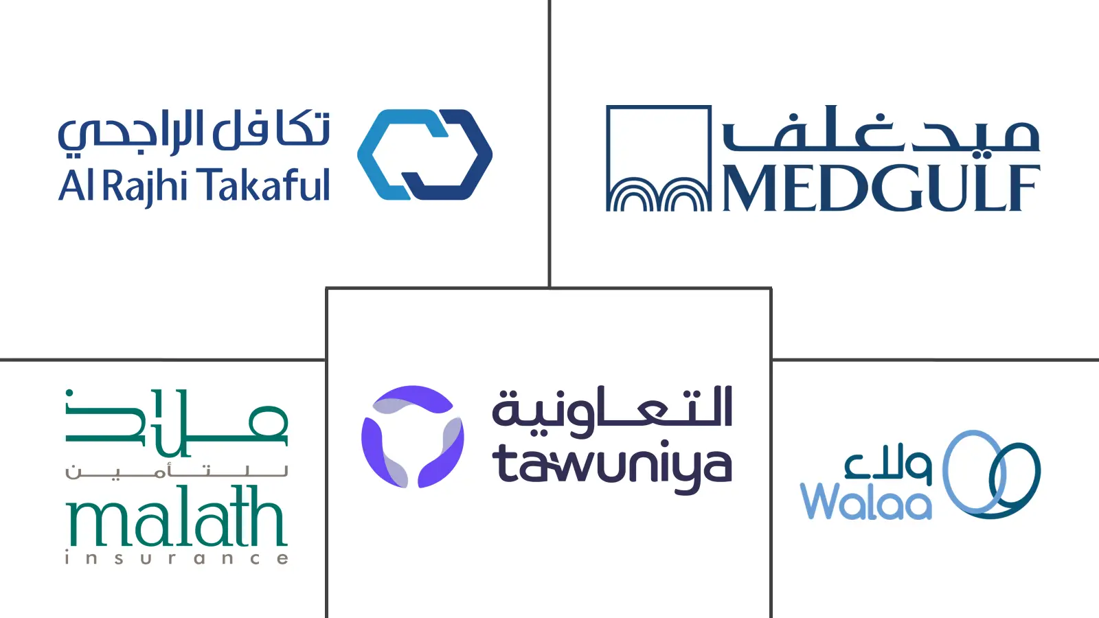 沙特阿拉伯汽车保险市场规模和份额分析