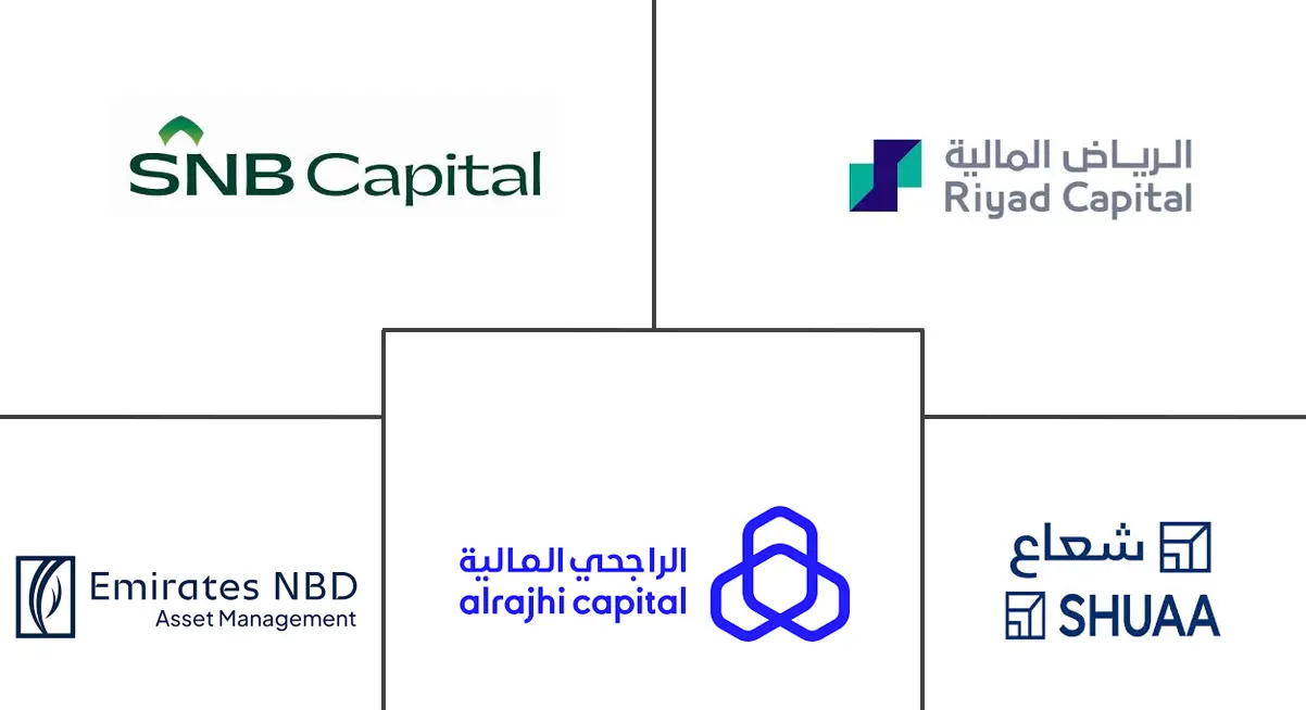 海湾合作委员会共同基金市场规模和份额