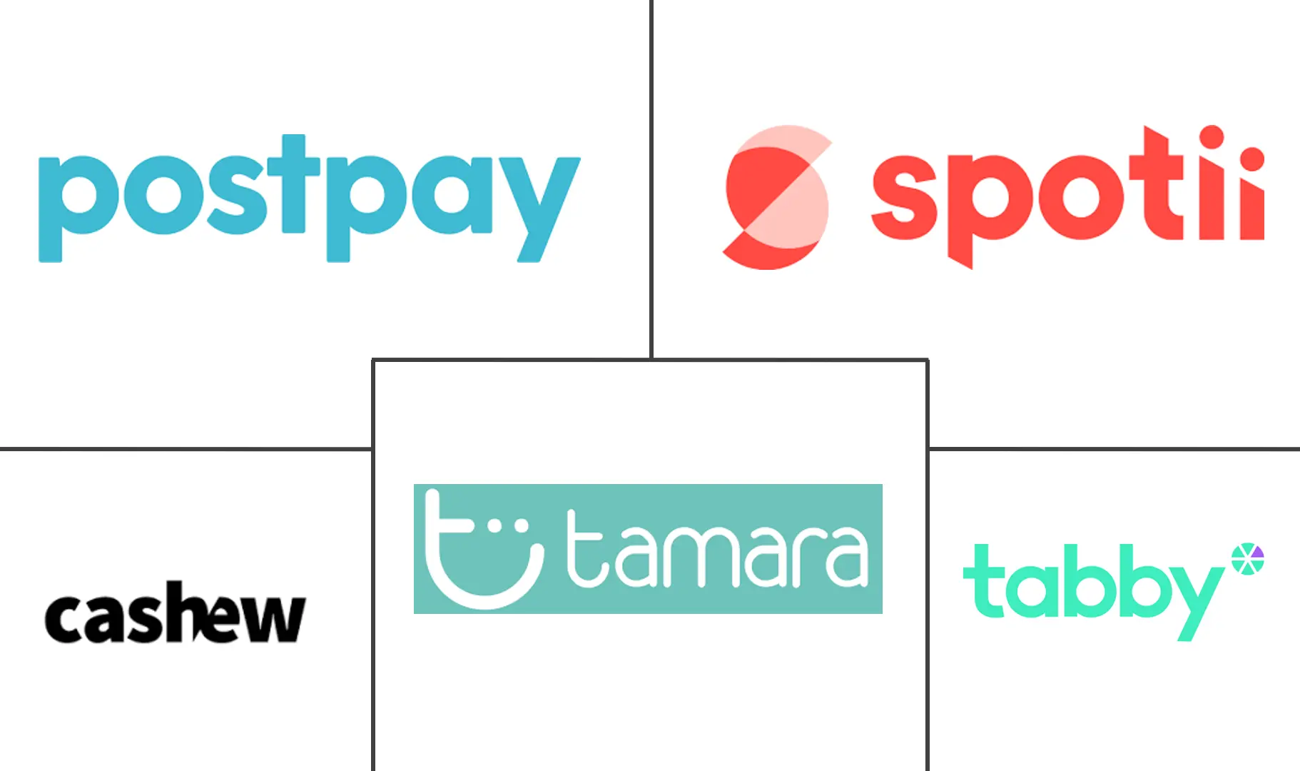 阿联酋先买后付服务市场规模和份额分析