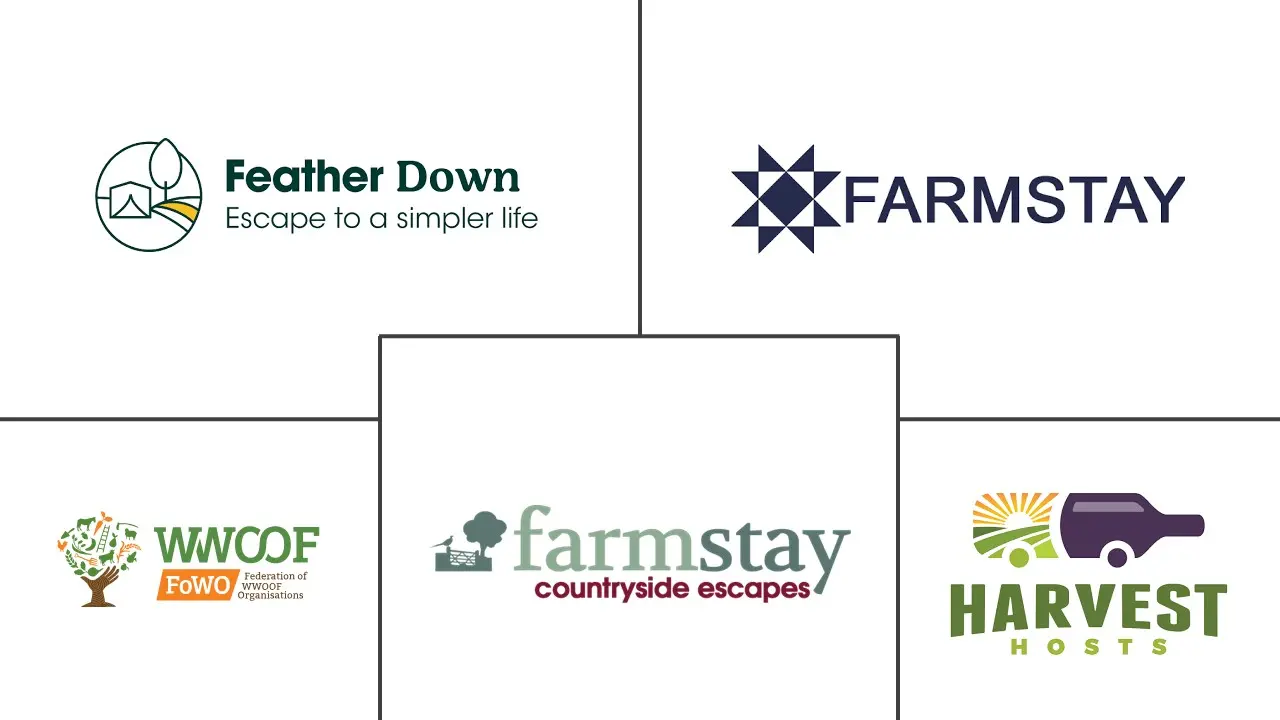 农业乡村旅游市场规模及份额