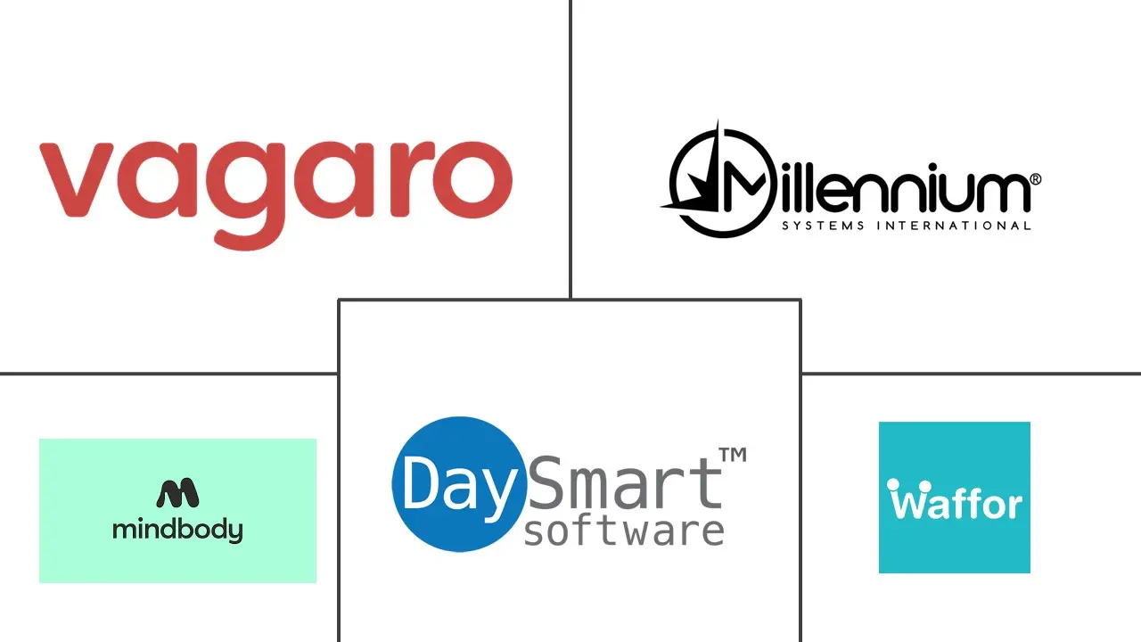 水疗和沙龙软件市场规模和份额