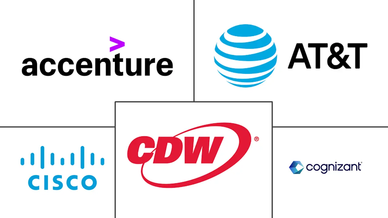 美国管理服务市场规模和份额分析