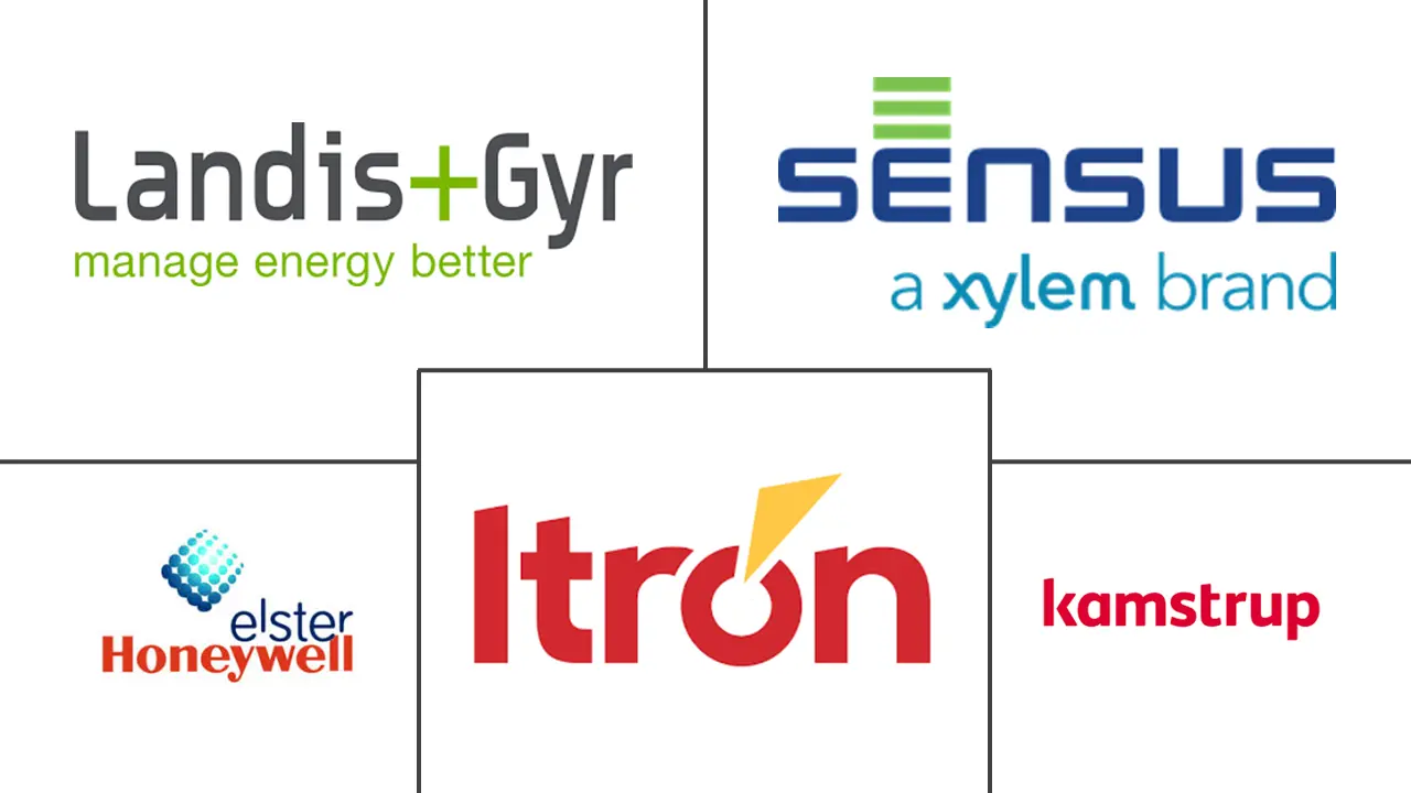 智能电表 (AMI) 市场规模和份额