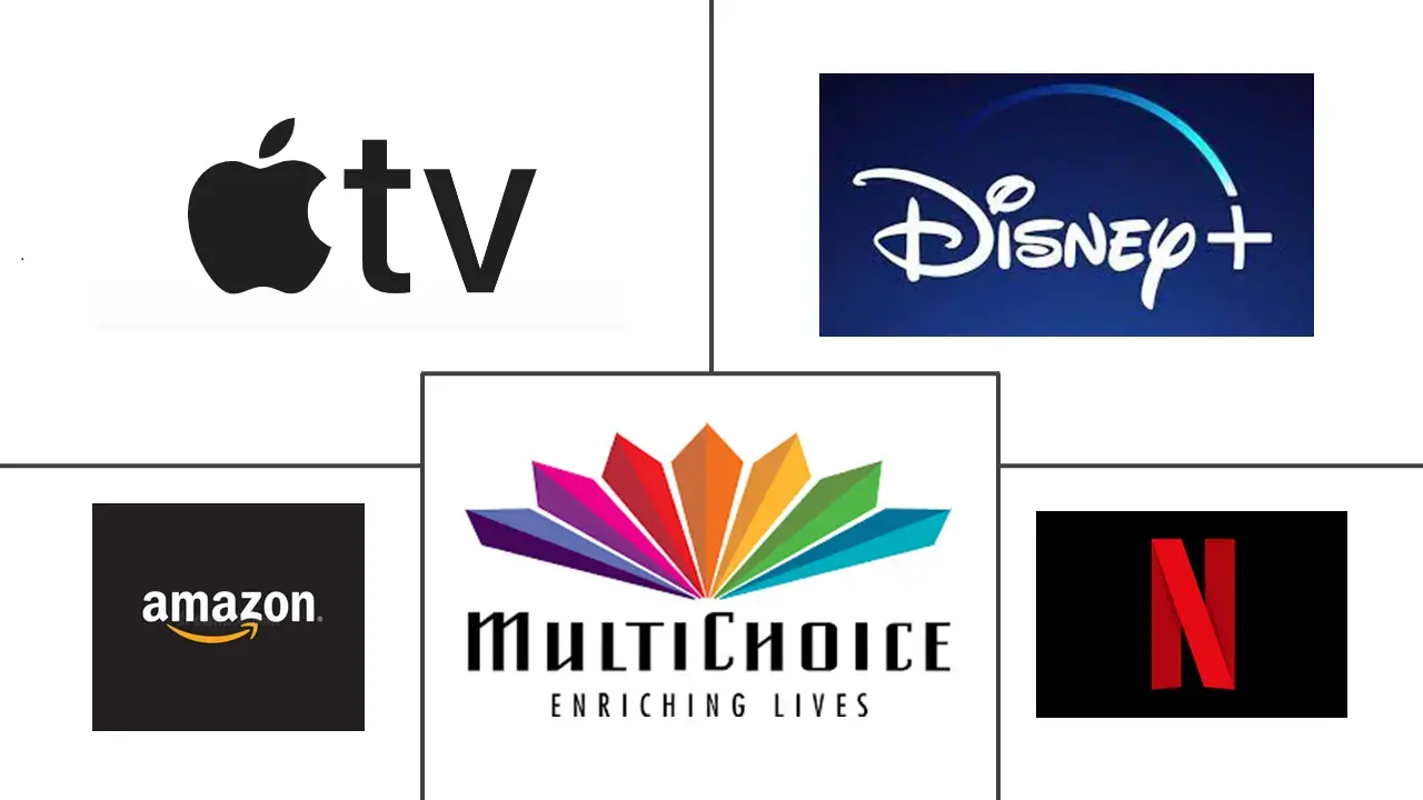 非洲 SVOD 市场规模及份额