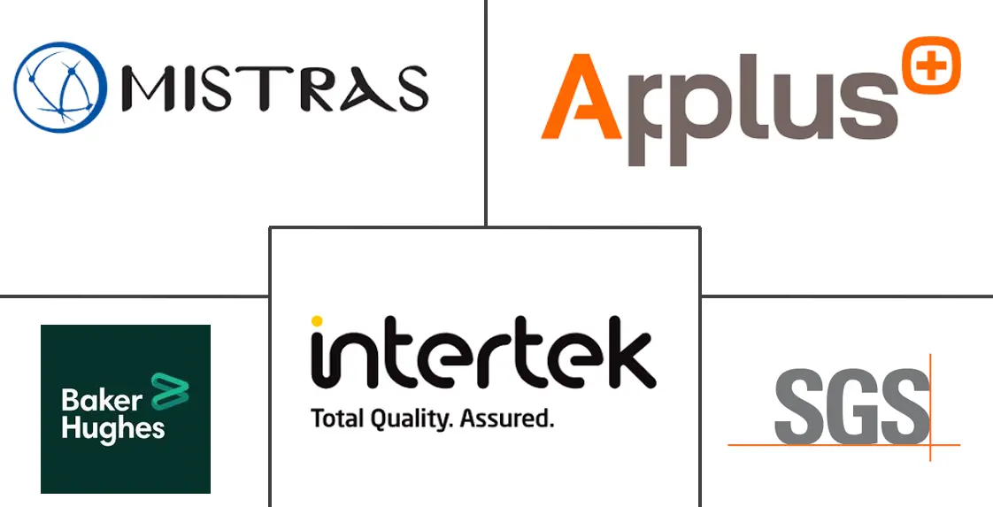 石油和天然气无损检测市场规模和份额