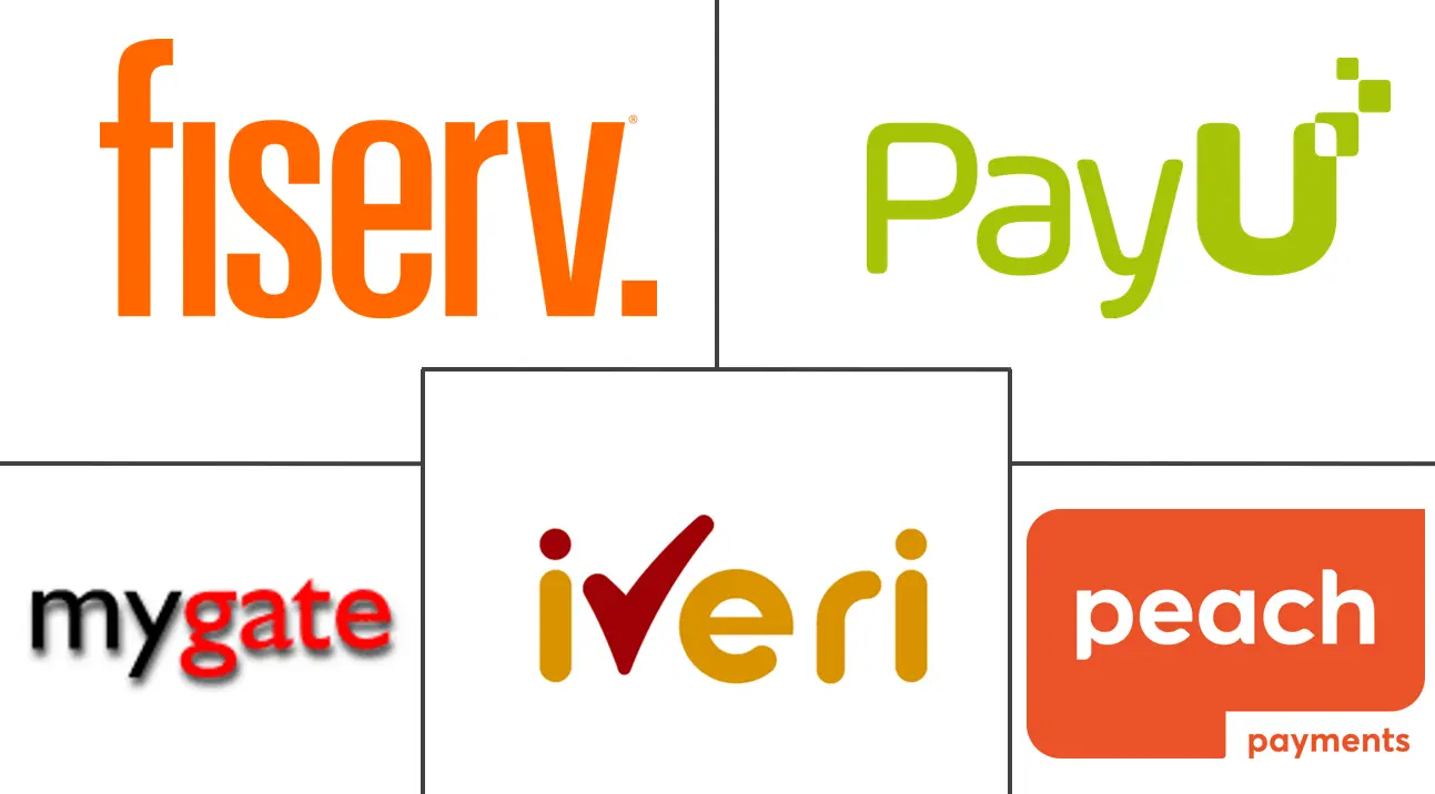 南非实时支付市场规模和份额分析