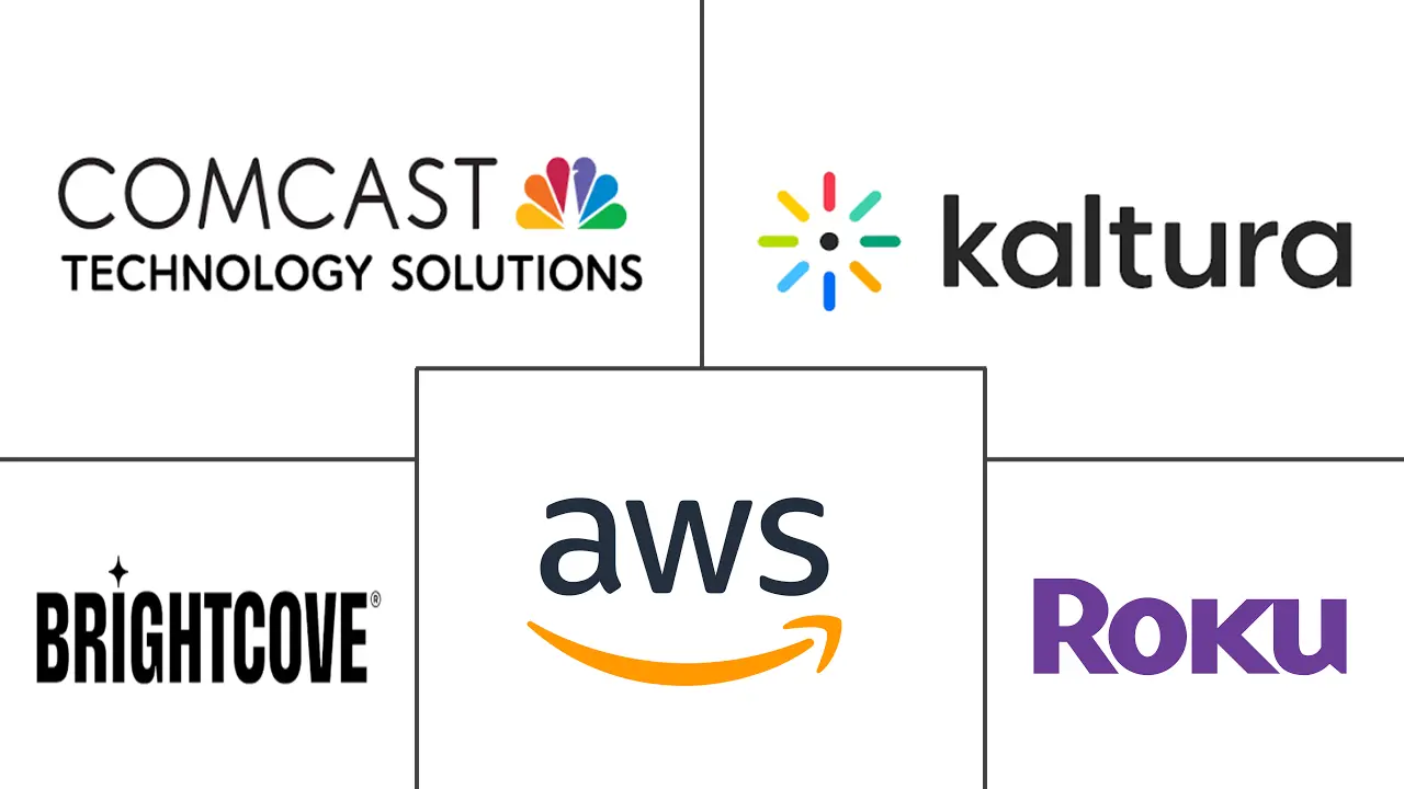 云电视市场规模及份额