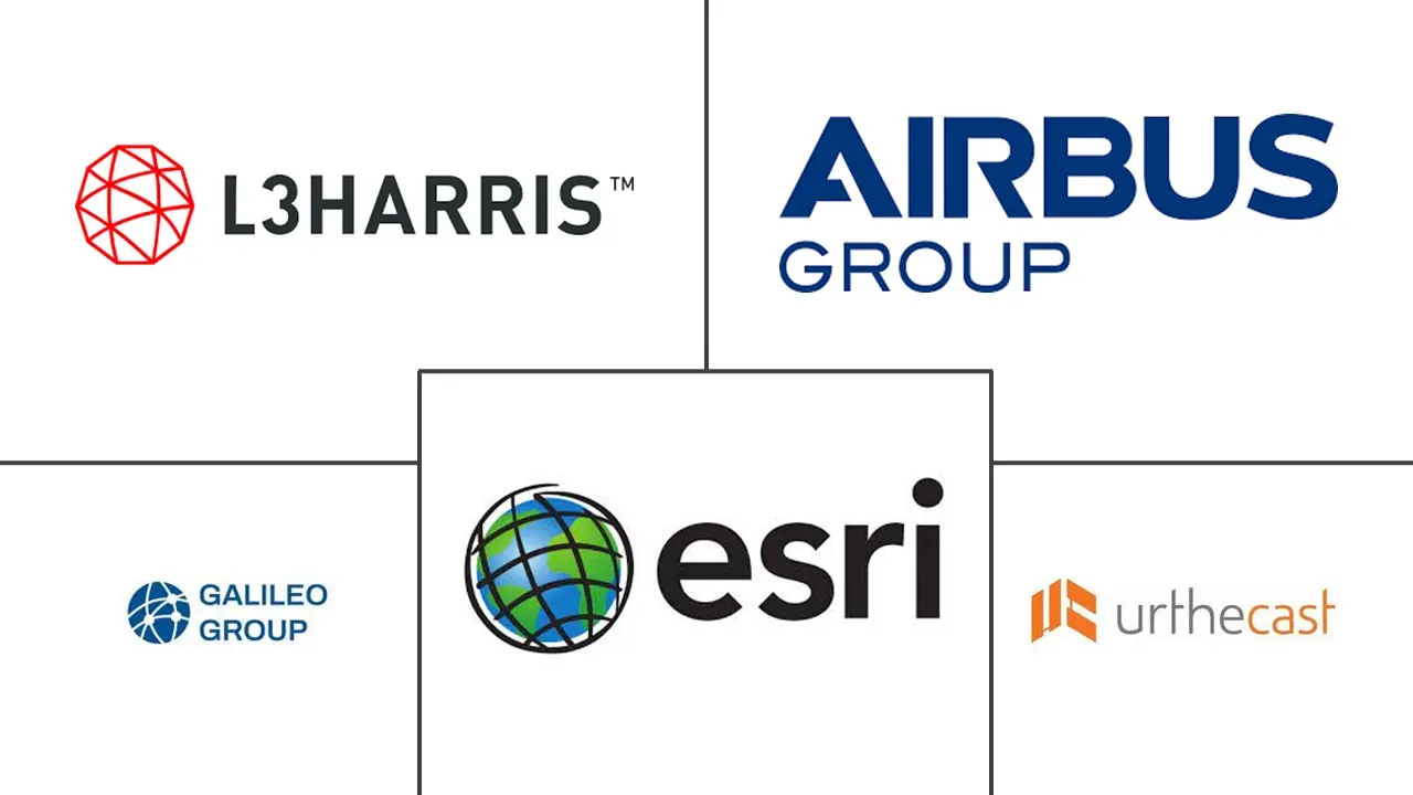 巴西卫星图像服务市场规模